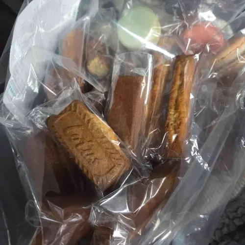 쫀독쫀독 실사 사진 1