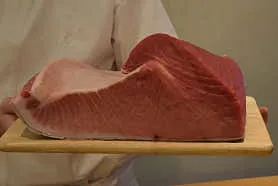 스시스이렌 실사 사진 2