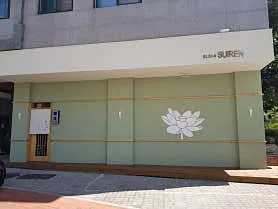 스시스이렌 실사 사진 4