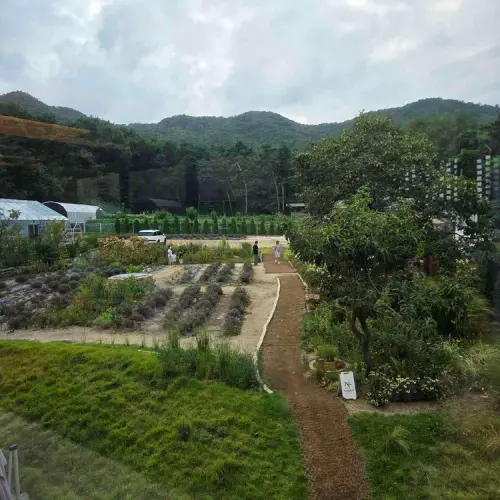 뱅쇼 광교호수점 실사 사진 2
