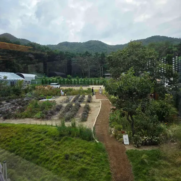 늘베이커리 호매실점 실사 사진 2