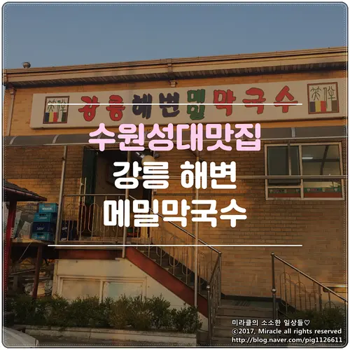 율전동원조 메밀비빔막국수 실사 사진 2